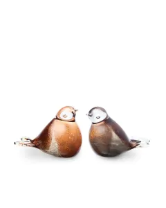 Mini urn roodborstje van glas