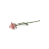 Urn roos - roze