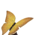Vlinder geel