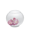 upolsgf117 Urn tulp - 4 liter