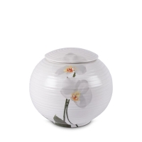 Urn Witte bloem - 4 liter