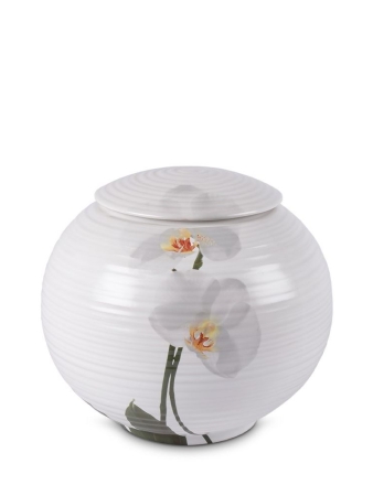 Urn Witte bloem - 4 liter