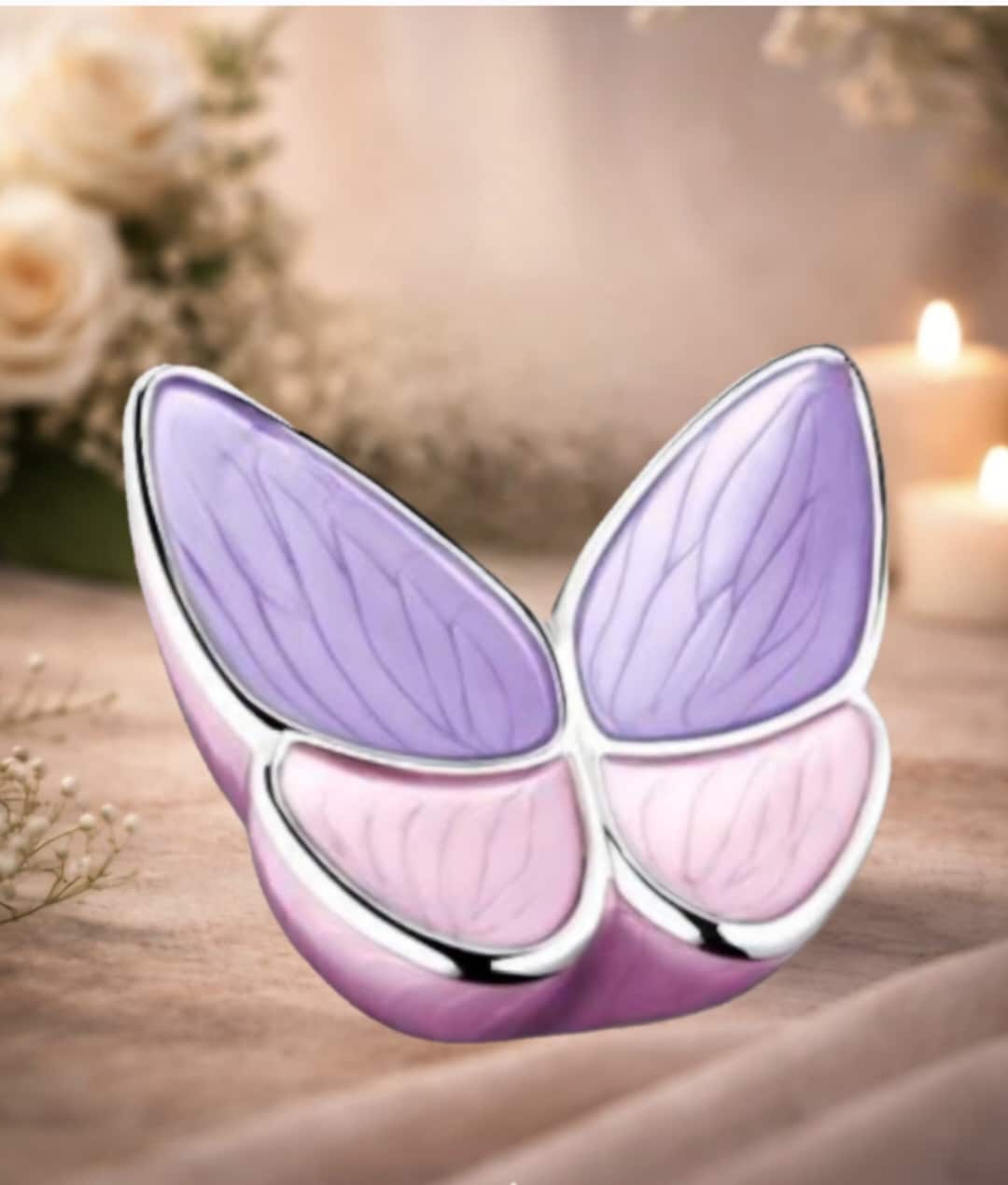 Screenshot_20260305_221321_Gallery