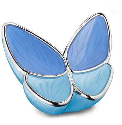 vlinder urn blauw