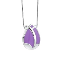 Ashanger Tulip Paars