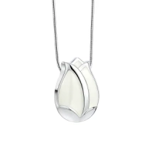 Ashanger Tulip Wit