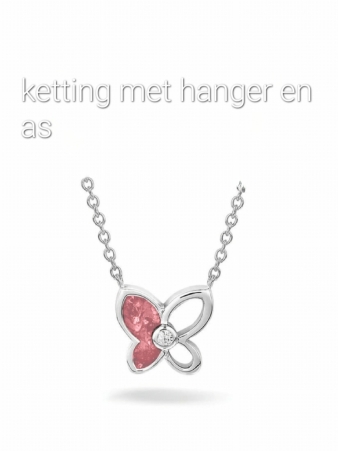Assieraden Ketting met hars en kleur