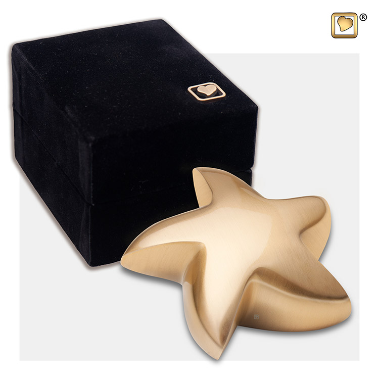 Mini urn - ster goudkleurig