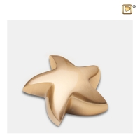 Mini urn - ster goudkleurig
