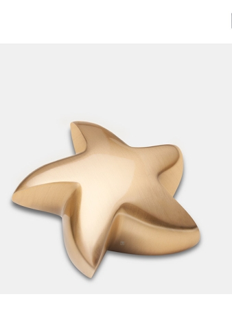 Mini urn - ster goudkleurig