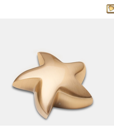 Mini urn - ster goudkleurig
