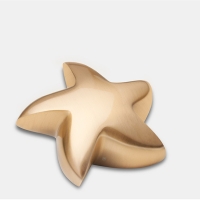 Mini urn - ster goudkleurig
