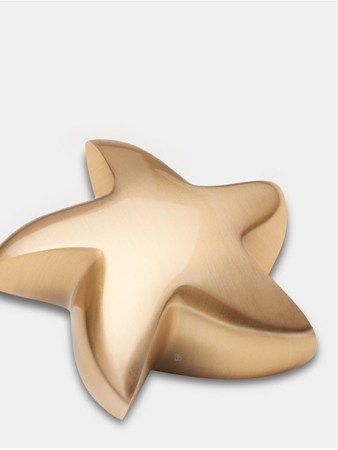 Mini urn - ster goudkleurig