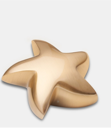 Mini urn - ster goudkleurig