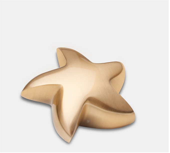 Mini urn - ster goudkleurig