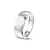 Sterling Zilver