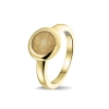 RG 033 Y_Gold