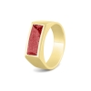 RG 055 Y_Red Assieraad heren ring - RG 055