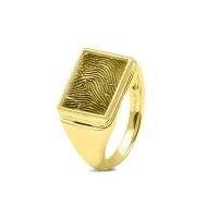 Assieraad - Fingerprint ring 453