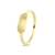 Geel Goud
