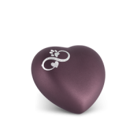 Dieren urn Infinity & poot Berry