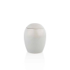 d612-desaer-lr-07-67f4e897a0b99 Keramische urn Serenity Licht grijs