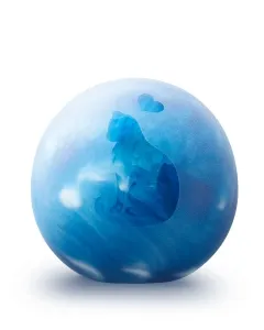 poes blauw