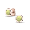 301 RE_Olive
