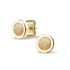301 YE_Gold
