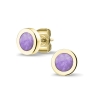 301 YE_Purple