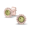 303 RE_Olive