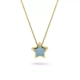 Asketting met ster 702