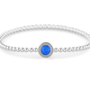 _DSC0892 Blue