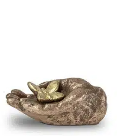 urn hand vlinder