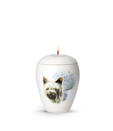 Keramische honden urn Yorkshire ( met of zonder waxinelicht)