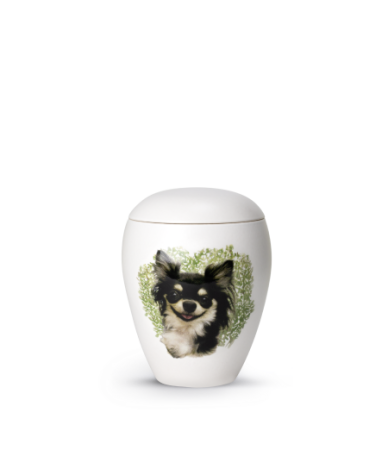 Keramische honden urn Chihuahua ( met of zonder waxinelicht)