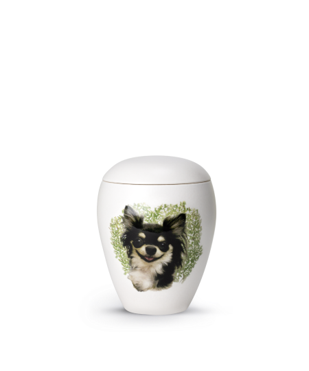 Keramische honden urn Chihuahua ( met of zonder waxinelicht)