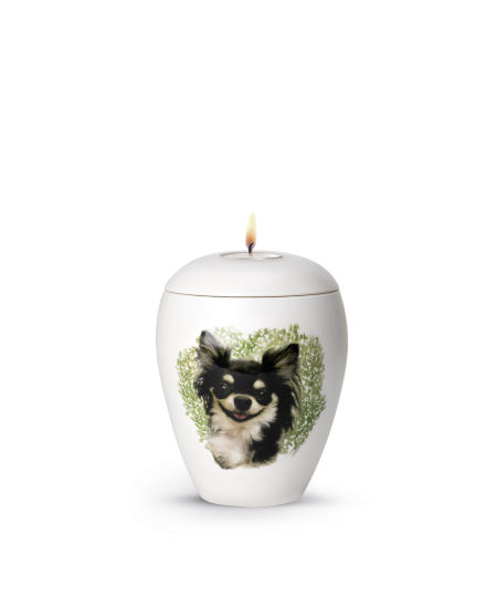 Keramische honden urn Chihuahua ( met of zonder waxinelicht)