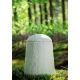 Biologisch afbreekbare urn van mycelium (paddenstoel) – 4 liter