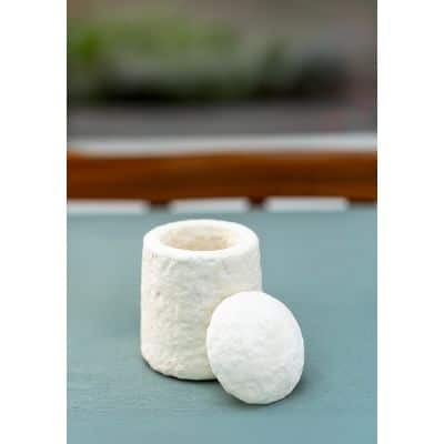 Biologisch afbreekbare urn van mycelium (paddenstoel) – (0.5 LITER)