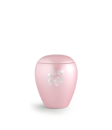 65-500-558 roze