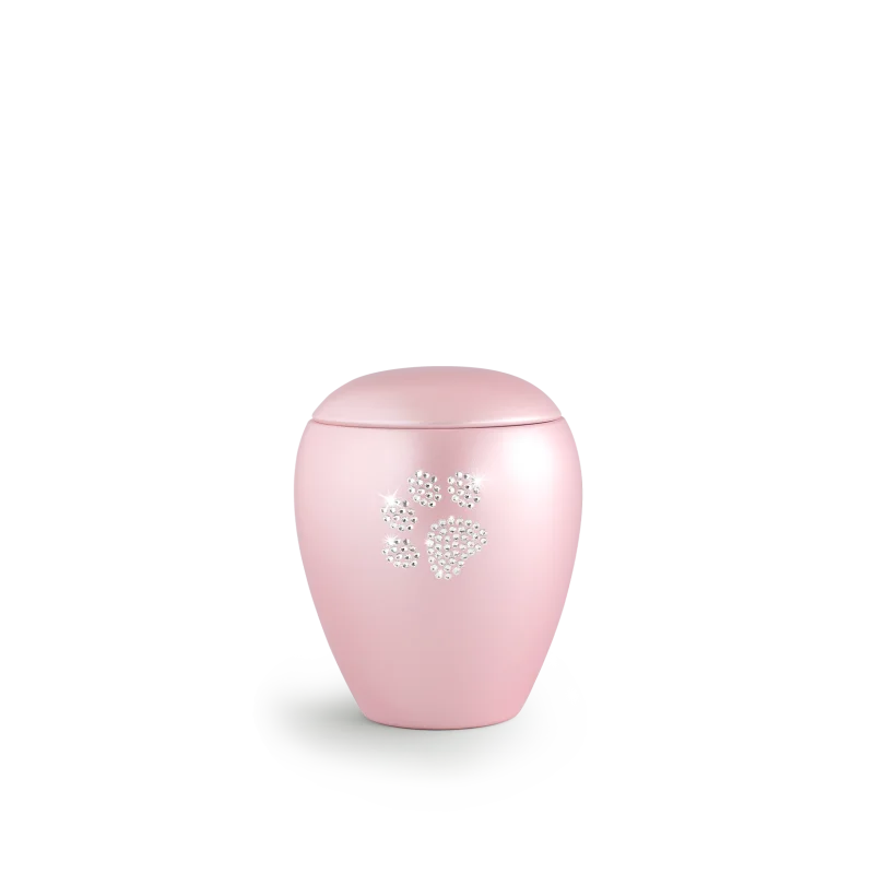 65-500-558.png 65-500-558 roze